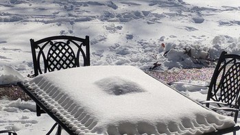 Menjadi bantal. Foto: Reddit