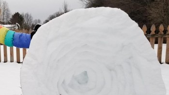 Gulungan salju. Foto: Reddit