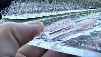 Membentukl seperti hutan. Foto: Reddit