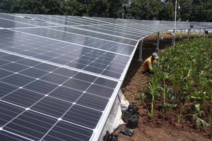 Pekerja menyelesaikan pemasangan surya panel di Kompleks Parlemen, Jakarta, Senin (13/12/2021). Kementerian ESDM merencanakan kapasitas dari pembangkit energi baru dan terbarukan (EBT) di Indonesia pada 2060 mendatang sebesar 617 GW, dimana pembangkit listrik tenaga surya (PLTS) akan mendominasi dengan kapasitas sebesar 398 GW. ANTARA FOTO/Muhammad Adimaja/YU