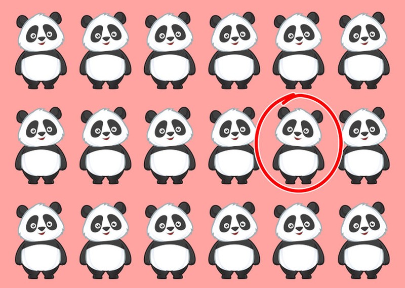 fotoinet tebak gambar yang tersembunyi