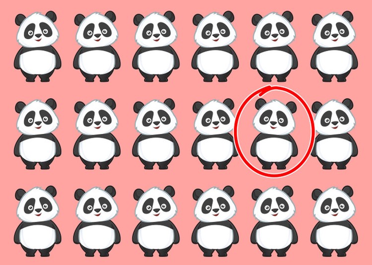 fotoinet tebak gambar yang tersembunyi fotoinet tebak gambar yang tersembunyi