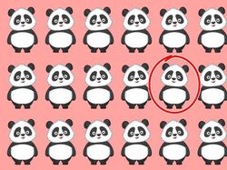 Uji Mata, Temukan Objek Gambar yang Terselip