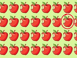 Uji Mata, Temukan Objek Gambar yang Terselip