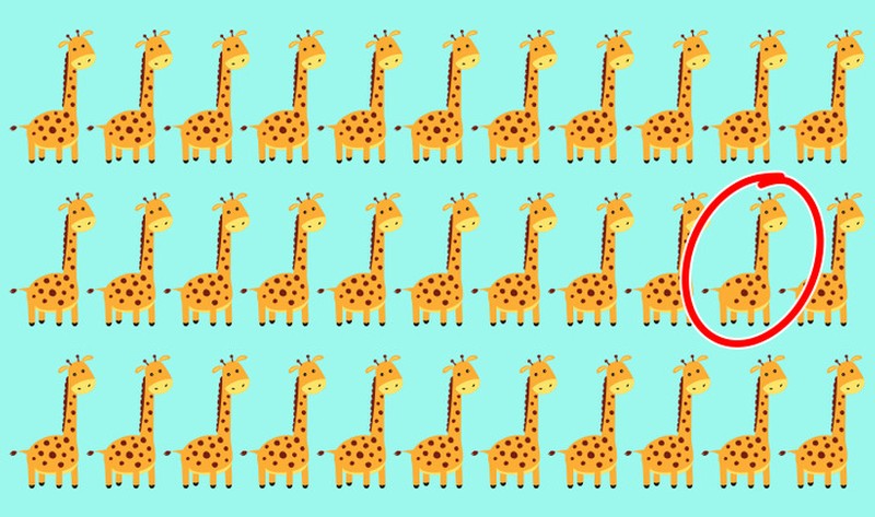 fotoinet tebak gambar yang tersembunyi