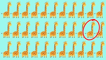 Ini jawabannya. Foto: Brightside