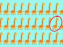 Uji Mata, Temukan Objek Gambar yang Terselip