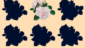 Bisa kamu temukan bayangan mana yang tepat untuk bunga ini. Foto: Depositphotos