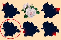 fotoinet tebak gambar yang tersembunyi