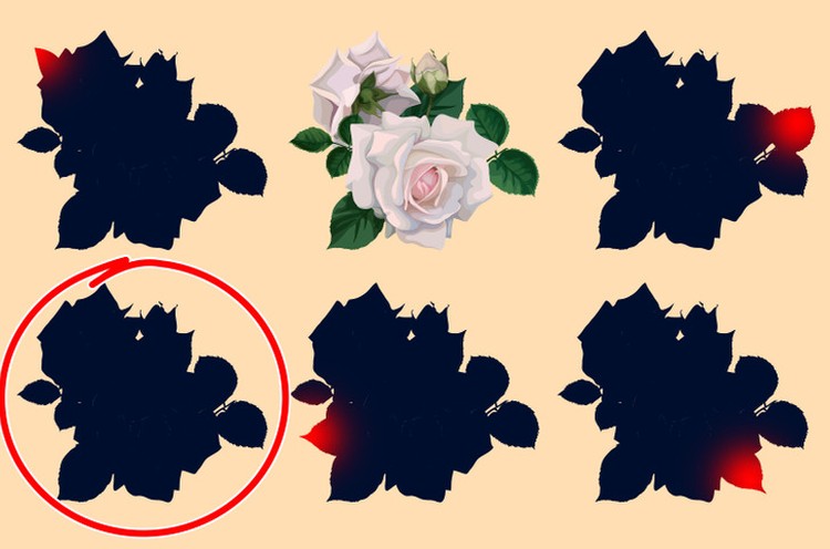 fotoinet tebak gambar yang tersembunyi