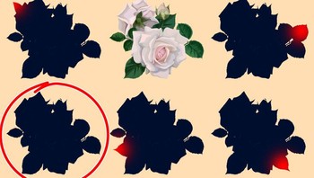 Ini jawabannya. Foto: Depositphotos