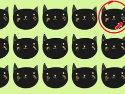 Uji Mata, Temukan Objek Gambar yang Terselip