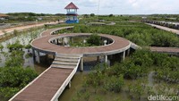 Wisata bahari disana tersaji lengkap mulai dari wisata Hutan Mangrove, Budidaya Udang tambak, Bandeng dan beragam jenis ikan lainnya.