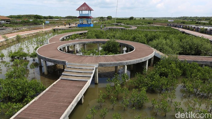 Desa Ketapang, Kecamatan Mauk, Tangerang menjadi salah satu lokasi kawasan pesisir yang dulunya terkesan kumuh dan kini disulap total menjadi kawasan wisata pesisir yang jadi percontohan internasional.

Sebagai informasi, Tangerang juga menjadi lokasi  acara internasional Partnership in Environmental Management for the Seas of East Asia (PEMSEA) Network of Local Government (PNLG) Meeting Summit 2022 yang akan diikuti berbagai negara.