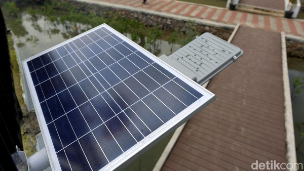 Di kawasan wisata pesisir ini juga sudah menerapkan energi ramah lingkungan atau energi baru terbarukan yang salah satunya adalah dengan memanfaatkan tenaga surya seperti penerangan disekitar jembatan. Di kawasan wisata pesisir ini juga sudah menerapkan energi ramah lingkungan atau energi baru terbarukan yang salah satunya adalah dengan memanfaatkan tenaga surya seperti penerangan disekitar jembatan.