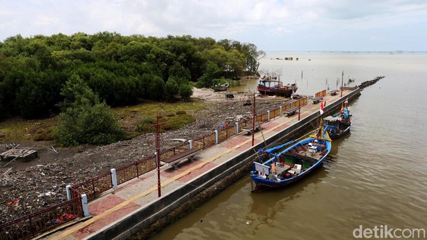 Penataan kawasan ini menurut Zaki Iskandar masih terus berlanjut ke depannya. Selain perbaikan infrastruktur dan pengembangan ekonomi, kawasan Aquaculture Ketapang akan dijadikan destinasi wisata mangrove.