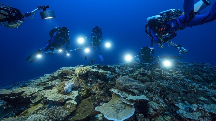 Peneliti Temukan Bentangan Terumbu Karang Langka Berbetuk Mawar In this photo provided by @alexis.rosenfeld, researchers for the French National Centre for Scientific Research study corals in the waters off the coast of Tahiti of the French Polynesia in December 2021. Deep in the South Pacific, scientists have explored a rare stretch of pristine corals shaped like roses off the coast of Tahiti. The reef is thought to be one of the largest found at such depths and seems untouched by climate change or human activities. (Alexis Rosenfeld/@alexis.rosenfeld via AP)