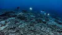 Terumbu karang yang baru ditemukan ini membentang sejauh 2 mil (3 kilometer). Ahli mempelajari terumbu karang ini mulai akhir tahun lalu selama ekspedisi menyelam yang didukung UNESCO.  