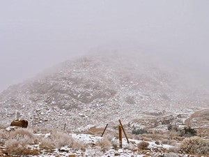 Salju Kembali Selimuti Arab