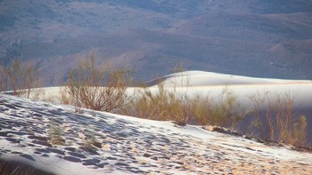 Es menyelimuti bukit pasir. Ini adalah fenomena tidak biasa di gurun tandus terbesar di dunia tersebut, mengingat rata-rata suhunya 58 derajat celcius. Foto: Karim Bouchetta via Daily Mail