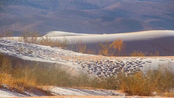 Suhu di kota ini turun drastis hingga -2 derajat celcius dan salju terus menumpuk menutupi bukit pasir. Foto: Karim Bouchetta via Daily Mail