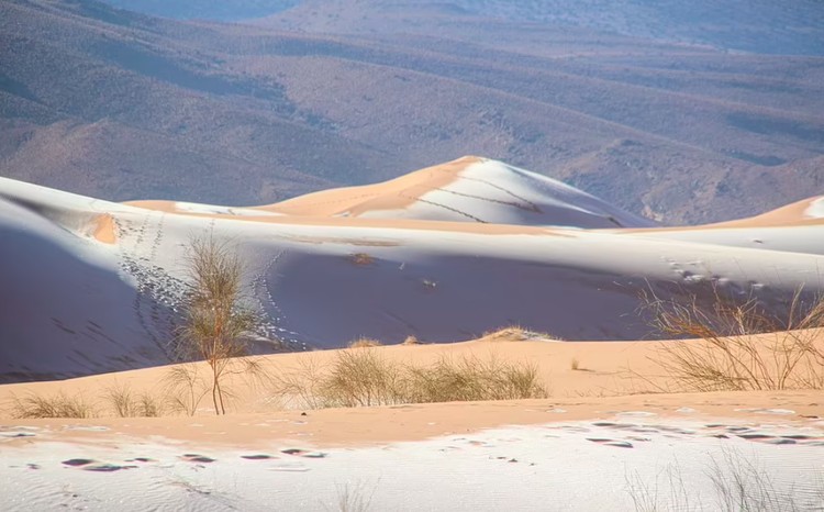 Salju di Gurun Sahara Salju di Gurun Sahara