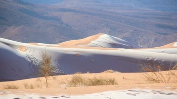 Lapisan es menciptakan pola yang menakjubkan di atas hamparan pasir. Foto: Karim Bouchetta via Daily Mail