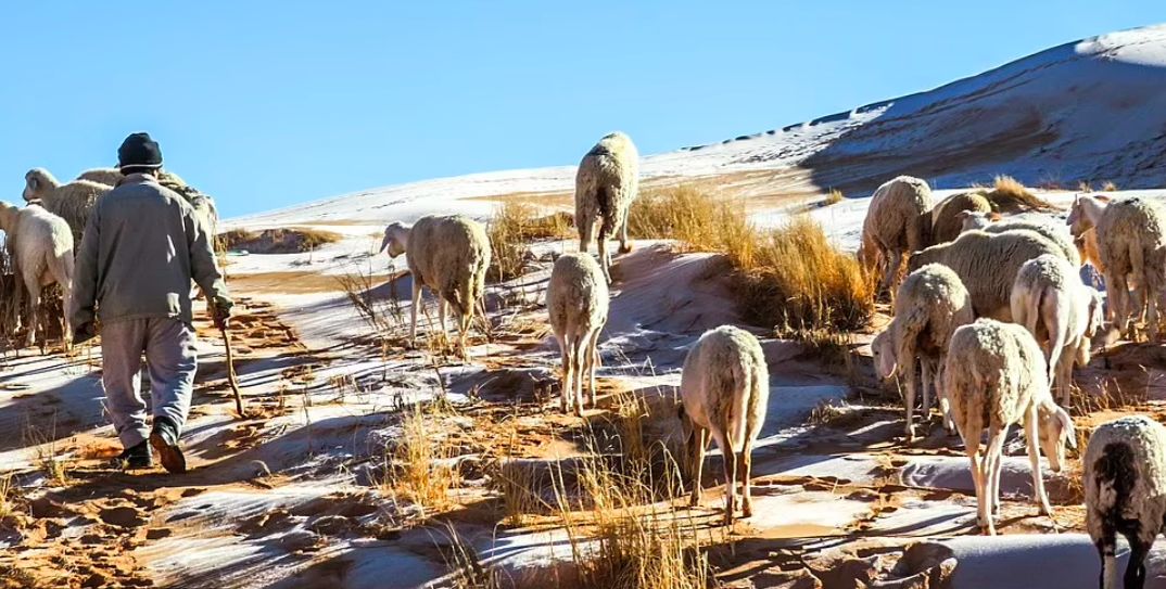 Nieve en el desierto del Sahara