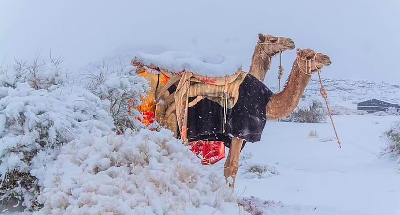 Salju di Gurun Sahara