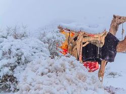 Cantiknya Salju Langka Selimuti Gurun Sahara