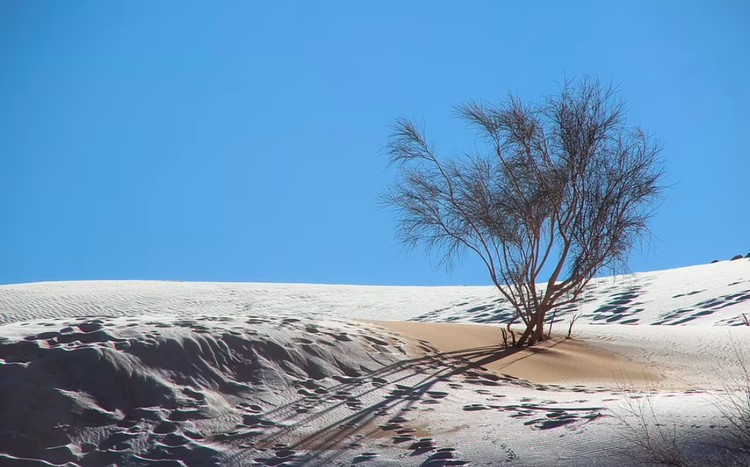 Salju di Gurun Sahara