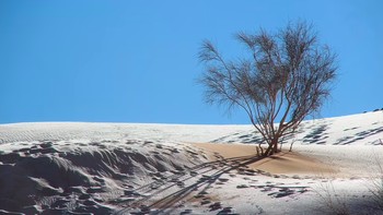 Salju tampak turun di atas hamparan pasir di Gurun Sahara. Suhu di wilayah tersebut turun di bawah titik beku dalam semalam, menciptakan pemandangan yang menakjubkan. Foto: Karim Bouchetta via Daily Mail