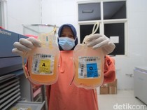 Apa Itu Trombosit? Ini Pengertian dan Fungsinya bagi Tubuh Manusia