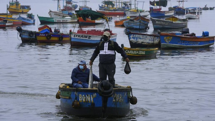 Tumpahan Minyak di Pantai Peru Terus Dibersihkan A fishermen rests near the dock in Ancon, Peru, Thursday, Jan. 20, 2022. The oil spill on the Peruvian coast caused by the waves from an eruption of an undersea volcano in the South Pacific nation of Tonga has expanded along the coastline, reaching Ancon, a fishing and touristic port. (AP Photo/Martin Mejia)