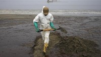 Seorang pekerja, mengenakan pakaian pelindung, membersihkan Pantai Conchitas yang terkontaminasi tumpahan minyak, di Ancon, Peru, Kamis, (20/1/2022). Tumpahan minyak di pantai Peru disebabkan oleh gelombang dari letusan gunung berapi bawah laut di negara Pasifik Selatan Tonga.