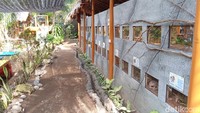 Zeround Park ini merupakan wisata edukasi pertama di Pangandaran yang memperkenalkan hewan reptil, unggas, mamalia, dan bertani.