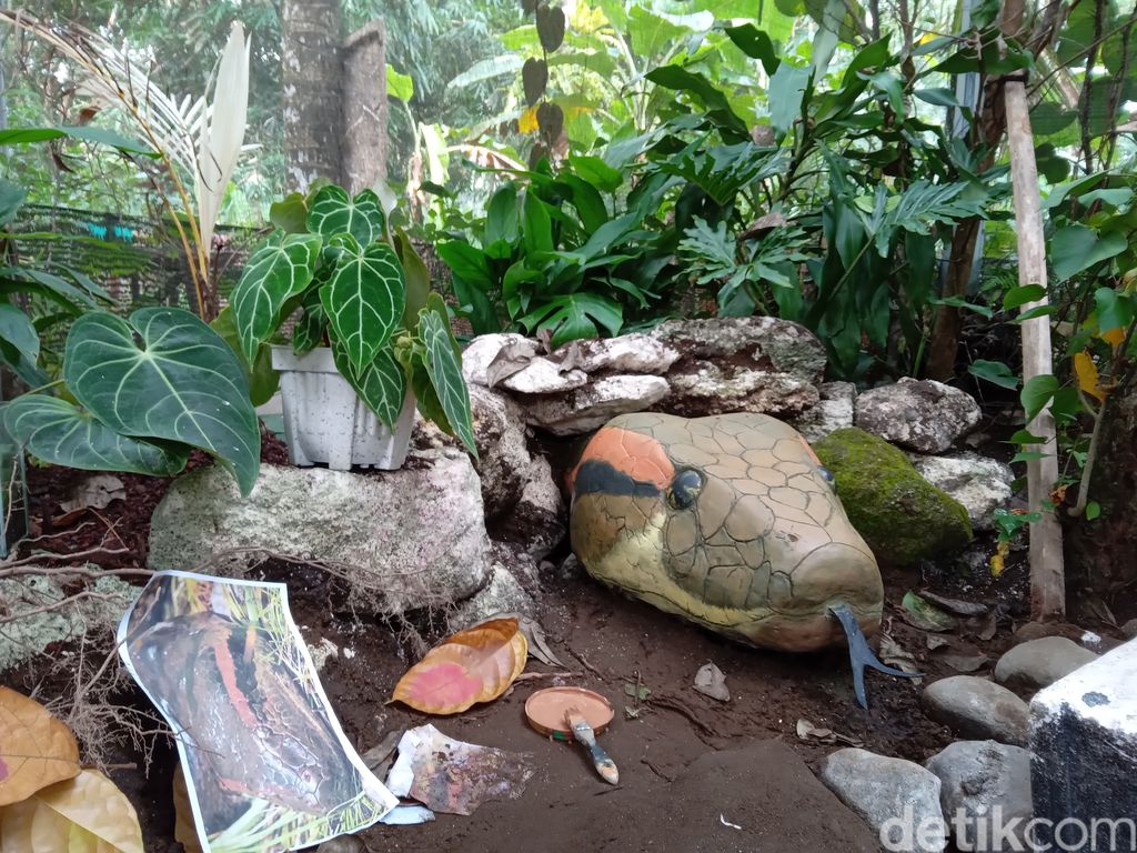 Zeround Park, Kebun Binatang Reptil Pertama di Pangandaran