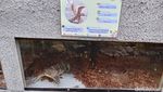 Kebun Binatang Reptil Pertama Pangandaran, Zeround Park