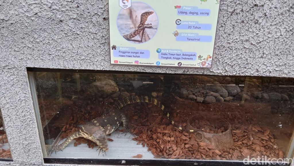 Zeround Park, Kebun Binatang Reptil Pertama di Pangandaran