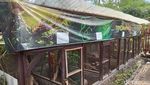 Kebun Binatang Reptil Pertama Pangandaran, Zeround Park