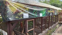 Nanti kalau ke Pangandaran semaptpkan datang ya.