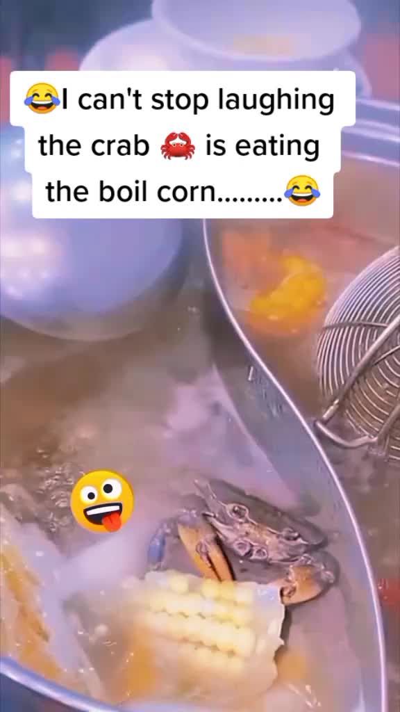 Duh! Kepiting Ini Masih Sempat Ngemil Jagung Saat Direbus di Panci Hotpot