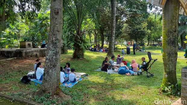 Jumlah pengunjung di Taman Margasatwa Ragunan, Jakarta Selatan (Jaksel) terus mengalami penurunan semenjak diterapkannya PPKM Level 2 di DKI Jakarta. (Marteen Ronaldo/detikcom)