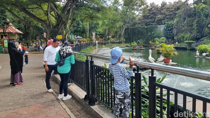 Jumlah pengunjung di Taman Margasatwa Ragunan, Jakarta Selatan (Jaksel) terus mengalami penurunan semenjak diterapkannya PPKM Level 2 di DKI Jakarta. (Marteen Ronaldo/detikcom)