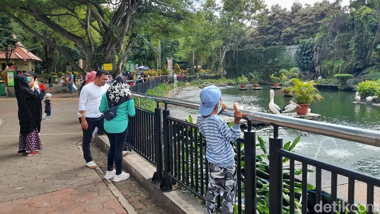 Jumlah pengunjung di Taman Margasatwa Ragunan, Jakarta Selatan (Jaksel) terus mengalami penurunan semenjak diterapkannya PPKM Level 2 di DKI Jakarta. (Marteen Ronaldo/detikcom) Jumlah pengunjung di Taman Margasatwa Ragunan, Jakarta Selatan (Jaksel) terus mengalami penurunan semenjak diterapkannya PPKM Level 2 di DKI Jakarta. (Marteen Ronaldo/detikcom)