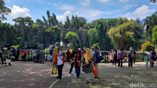 Jumlah pengunjung di Taman Margasatwa Ragunan, Jakarta Selatan (Jaksel) terus mengalami penurunan semenjak diterapkannya PPKM Level 2 di DKI Jakarta. (Marteen Ronaldo/detikcom)