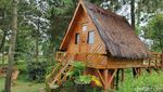 Liburan ke Garut? Yuk Coba Ngecamp di Kaki Gunung Papandayan