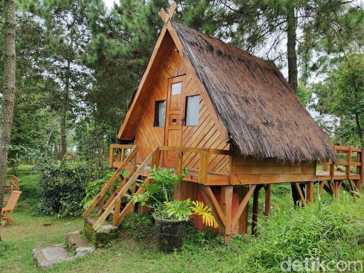 Liburan ke Garut? Yuk Coba Ngecamp di Kaki Gunung Papandayan