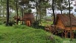 Liburan ke Garut? Yuk Coba Ngecamp di Kaki Gunung Papandayan