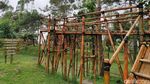 Liburan ke Garut? Yuk Coba Ngecamp di Kaki Gunung Papandayan